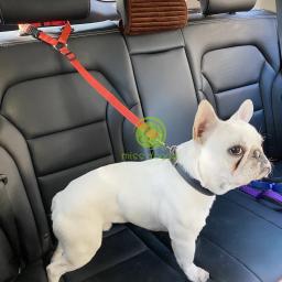 Cão de estimação gato cinto de segurança do carro acessórios do cão arnês ajustável leash pequeno médio viagem clipe coleira de cachorro suprimentos para animais estimação - Image 6