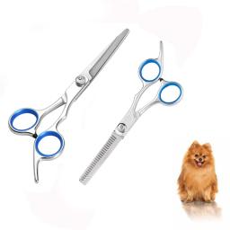 Aço inoxidável Pet Hair Scissors, aparar tesouras, corte animal, Dog Grooming, pés, orelha, olho, 6" - Image 1