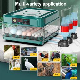 Giro automático do ovo e monitoramento de umidade, mini pato incubadora com água iônica, à prova d'água, UE Reino Unido - Image 2