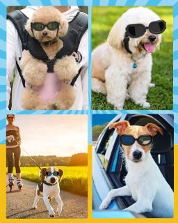 Cão óculos de sol raça pequena cães óculos de proteção uv olho wear à prova de vento anti-nevoeiro pet óculos com alça ajustável suprimentos para cães - Image 6