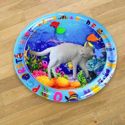 Tapete de resfriamento portátil para Pet, Esteira de resfriamento, Water Play Mat, Brinquedos interativos de verão para gatos, Tapete de estimação - Image 1