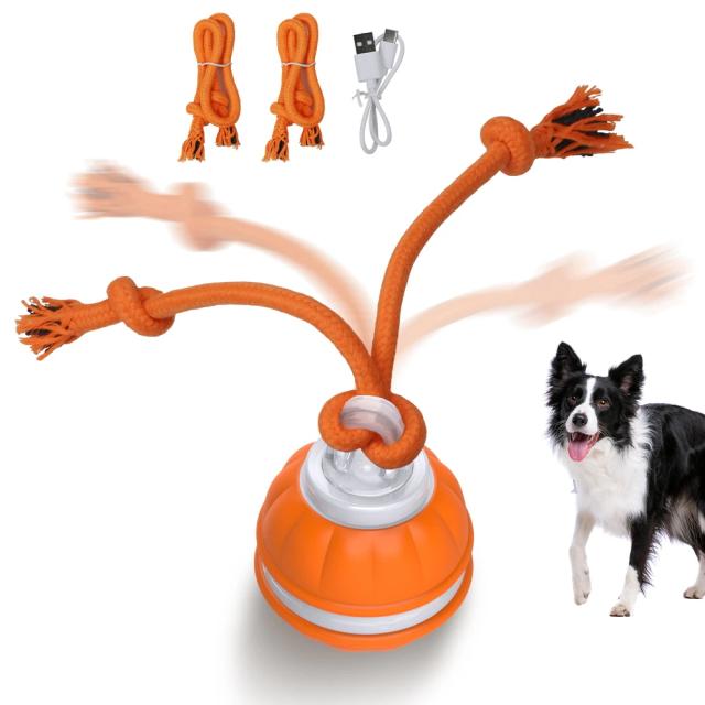Brinquedo Interativo para Cães: Bola Inteligente com Movimento Automático e Estímulo para Limpeza Dental e Mastigação