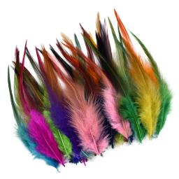 Penas De Faisão Coloridas Para Artesanato, Jóias, Dream Catcher, Galo De Galo Natural, Acessórios De Artesanato De Carnaval, Decoração, 20Pcs - Image 5