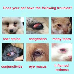 Cataract Colírio para Animais de Estimação, Treat Cat Pet, Cão Idoso, Elimina Gatos Maus, Ceratite Precoce, Água Colírio, 20ml - Image 5