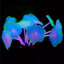 Silicone plantas luminosas artificial aquarium coral ornamento subaquático para peixes tanque fishbowl decoração acessórios - Image 4