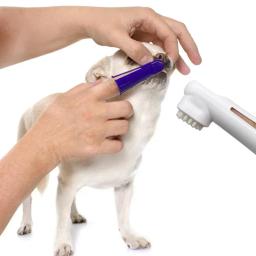Kit de Controle Tártaro para Animais de Estimação, Cães Contém Creme Dental e Escova, Kit Cuidados Dentais, Pet Limpeza Dentes, 4 Pcs - Image 5