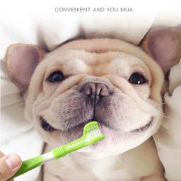 Pet Toothbrush Kit para cão e gato, Cuidados dentários, Três cabeças, Dedo Toothbrush, Dentes limpeza da boca - Image 2