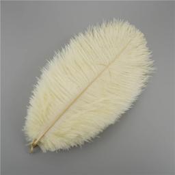 10 pçs colorido pena de avestruz artesanato acessórios apanhador de sonhos decoração jóias criação natural pluma mesa peças centrais - Image 3
