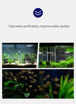 Tratamento Tropical Universal de Purificação de Água, Comprimidos Tanques de Aquário, Medicamento para Peixes, Fungicida de Amplo Espectro-ANTIBIÓTICOS, 100 unid - Image 3