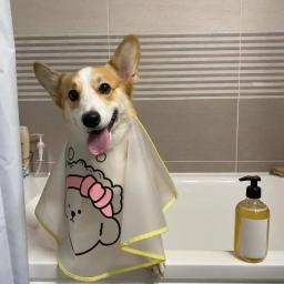 Casaco impermeável para animais de estimação, cães e gatos roupas, mancha de lágrima, cuidados faciais, pano do cabo, corte de cabelo - Image 3