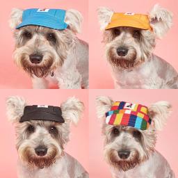 Chapéu De Cão Verão Sunbonnet Cão Chapéu De Lona Chapéu De Beisebol Do Cão Ajustável Cachorro Esportes Protetor Solar Windproof Cap Pet Supplies - Image 5