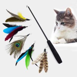 Telescópica três seções Pet Cat Stick, suprimentos engraçados sem cabeça de gato - Image 5