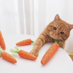 Carrot Cuddle Stick para gato, mordedor, placa anti-mordida, pet suprimentos, brinquedos sonoros, diversão, novo, 2024 - Image 3
