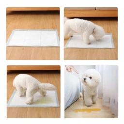 Super Absorvente Dog Training Toilet, Almofada Descartável, Almofada De Fraldas Saudável, Textura Suave, Cão Masculino, Alta Qualidade, 20Pcs, 50Pcs, 100Pcs - Image 5