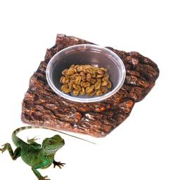 Réptil Água Bowl com Rock Design, Anfíbios, Resina Terrário, Sapo Prato, Piscina, Animais Suprimentos - Image 2