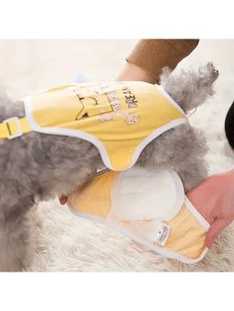 Almofadas descartáveis para fraldas para cães à prova de vazamento, alta absorção, fraldas para filhotes, calças para cães machos e fêmeas, 30 unidades por pacote - Image 2