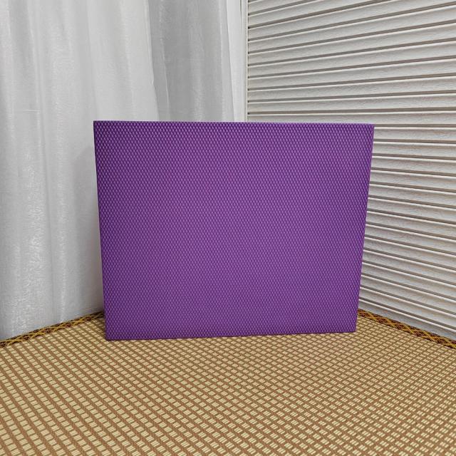 Tapete de Yoga Fitness em EVA de Alto Nível para Roda Abdominal e Meditação - Acessórios Esportivos Especiais