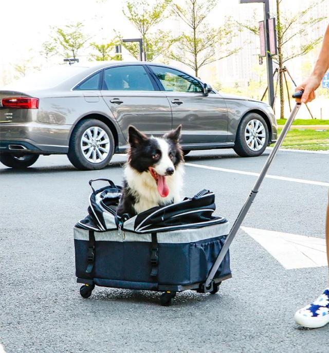 Carrinho de Estimação Portátil com Assento Removível para Cães e Gatos