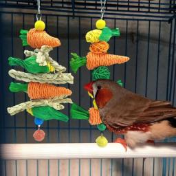 Pássaro brinquedos pendurado brinquedo gaiola de pássaro acessórios pássaro corda poleiro para conure cockatiel budgies pequeno a médio pássaros periquito brinquedo - Image 3