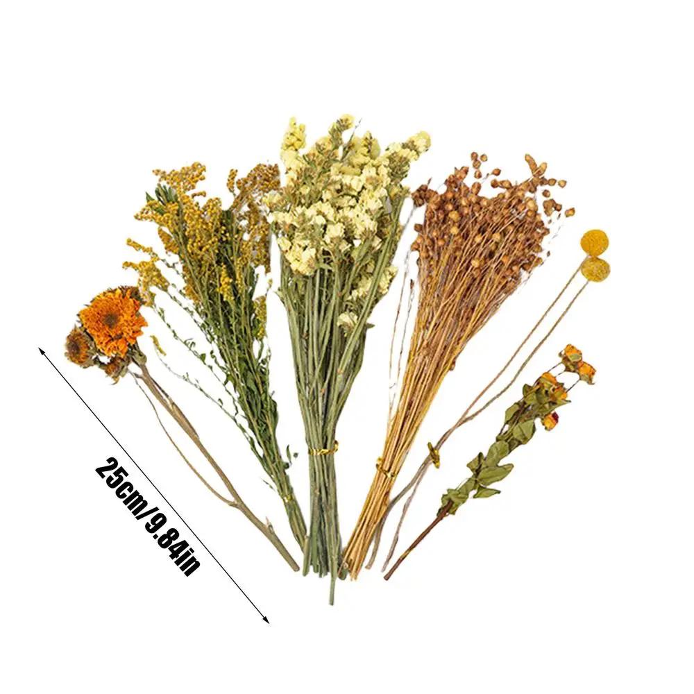 Nature Flower Herb Bedding Decor, Hamster Cage Suprimentos para Gerbils Coelho e Outros Pet Pequeno - Image 1