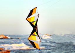 Freilein-Kites Factory Quad Line Stunt Kite, Linha Voadora Enrolamento, Kitesurf, Conjunto Completo, Brinquedos Esportivos, Frete Grátis - Image 6
