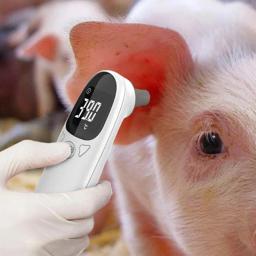 Dispositivo preciso de detecção de febre veterinária, Termômetros animais para gatos, Pet Tech Supplies, Veterinário - Image 3