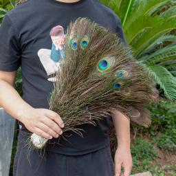 Atacado 10 pçs/lote penas de pavão naturais para artesanato jóias fazendo casa vaso festa de casamento mesa plumagem decoração 25-30cm - Image 2
