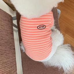 Roupa listrada verde para cães, colete de pelúcia, macio do que o urso, camiseta de cachorro pequeno, moda pet, verão - Image 6
