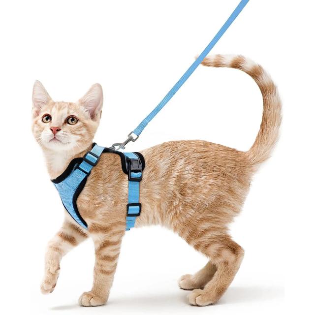 Coleira de Chumbo Ajustável para Gato com Colete Refletivo e Prova de Fuga para Treinamento de Caminhada