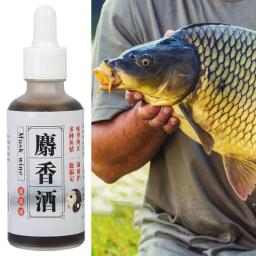 Isca Aditivo Isca De Pesca Isca Artificial Líquido Forte Musk Vinho Sabor Isca De Pesca Aditivo Peixe Atraente Para Grama Da Carpa - Image 6