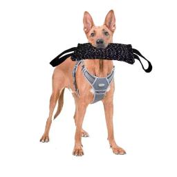 Almofada De Treinamento De Cânhamo Para Animais De Estimação, Brinquedo Do Cão, Bite Stick, Pet Training Supplies - Image 1