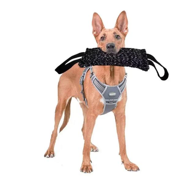 Almofada de Cânhamo para Treinamento de Cães - Brinquedo Interativo para Animais de Estimação
