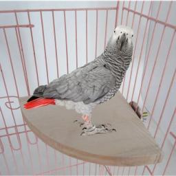 Stand Board for Small Animal, Poleiros Station para Hamster, Gaiola de Pássaros, Suprimentos para Animais, Chinchilla, Esquilo e Hamsters - Image 1