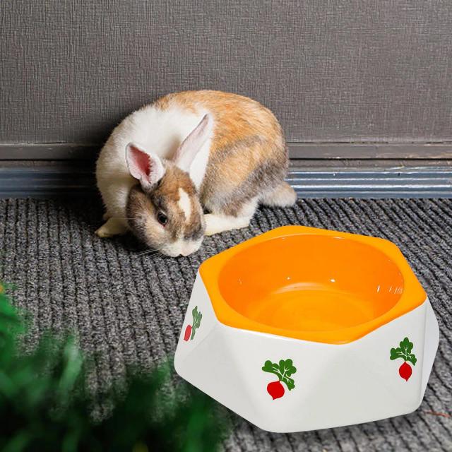 Tigela Antiderrapante de Cerâmica para Alimentação de Coelhos, Gatos, Cachorros e Outros Pequenos Animais