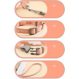 Pet cinta de peito com asas de anjo escape-proof gato arreios conjunto de coleira gatinho acessórios para caminhada ao ar livre - Image 6