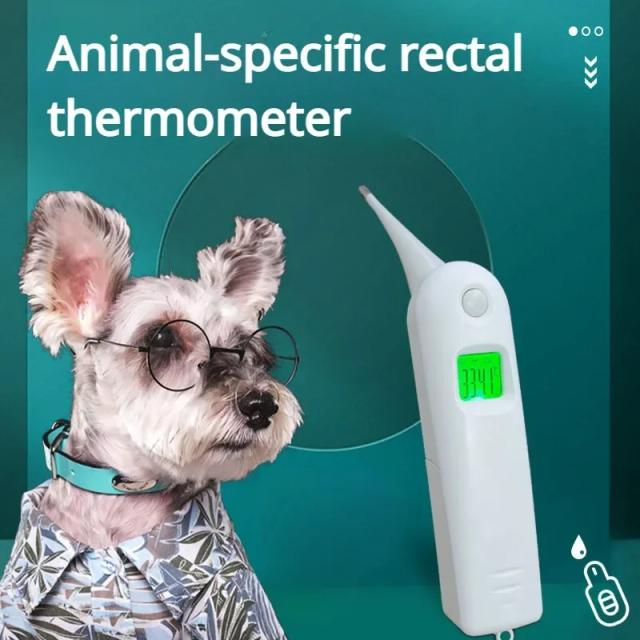 Termômetro Veterinário Eletrônico para Pets - Ideal para Cães e Gatos, Uso Retal e Confiável