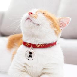 Rastreador GPS para cães e gatos, Pet Anti-Lost, Compatível com Bluetooth, Rastreador de Atividades Inteligentes, Impermeável, Tempo Real, Localização Global - Image 4