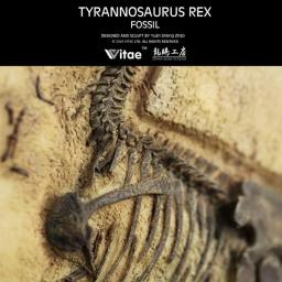 Vitae dinossauro jurássico original coleção fóssil modelo tyrannosaurus rex decoração de parede - Image 6