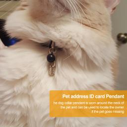 Etiquetas de identificação à prova waterproof para animais de estimação, cápsula de aço inoxidável para identificador de cães e gatos, tubo escondido - Image 5