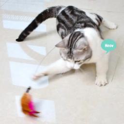 Provocando vara colarinho brinquedos para animais de estimação, gato interativo suprimentos, brinquedos Teaser, 1 a 4pcs - Image 4