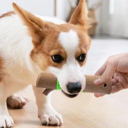 Portátil interativo Pet dentição brinquedos para cães, mastigadores agressivos, pequenos animais de estimação, amantes cães - Image 5