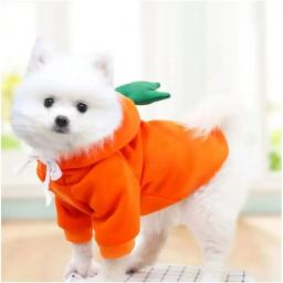 Com capuz de lã quente para cães, roupa ao ar livre, camisola do cão, roupas de cachorro, casaco de design bonito, novo, 1pc - Image 3