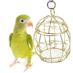 Brinquedos De Triturador De Pássaro De Aço Inoxidável, Alimentador De Gaiola, Forrageamento De Papagaio, Recipiente De Painço, Acessórios Para Animais De Estimação - Image 1