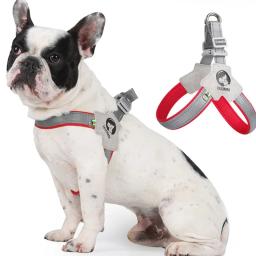Cinta torácica respirável para cães e gatos, cintos pequenos e médios, cão pequeno e médio, cachorro verão, viagens, caminhada, francês, 1pc - Image 3