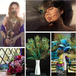 Longas penas naturais pavão adequado para vaso artesanato, decoração do casamento, festa em família, Natal, em massa, 50 pcs - Image 6