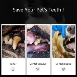 Ferramentas de limpeza dupla face dentes para animais de estimação, cães e gatos removedor de tártaro dental pedras escova de dentes, aço inoxidável raspador Pet Supplies - Image 5