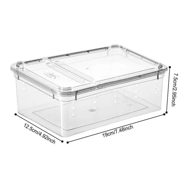 Terrário transparente multifuncional para répteis e transporte seguro de insetos vivos