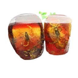 Cera de abelha Inseto Espécime Artesanato, Borboleta Sala Vestir Ornamentos, Âmbar Escorpião, Cicada Dourada - Image 5