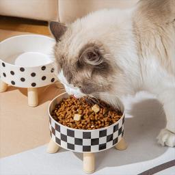 Elevada Anti-Choking Pet alimentação tigela com suporte, levantado Cat Food and Water Feeder, Suprimentos para beber, cães pequenos e médios - Image 2