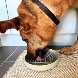 Placa de silicone Slow Food para Pet, Lamber esteira para cães, Otário de estimação antiderrapante, Alimentador de treinamento para cães, Pet Shop - Image 4